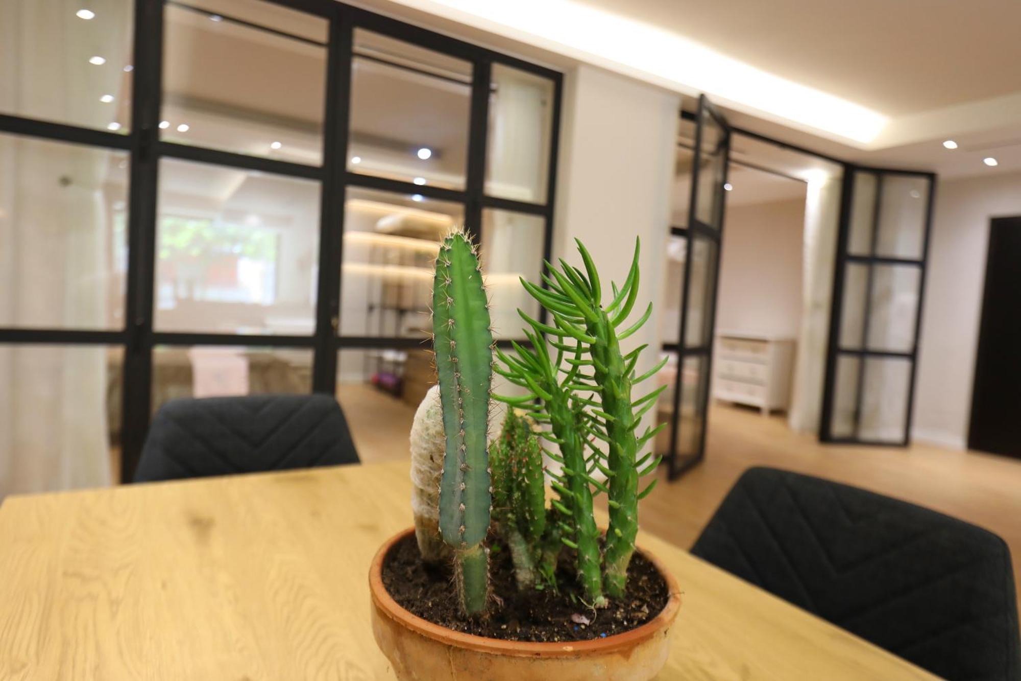 Amantia Apartment Wlora Zewnętrze zdjęcie